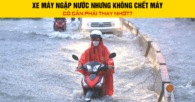 Xe máy ngập nước nhưng không chết máy có cần phải thay nhớt - 1